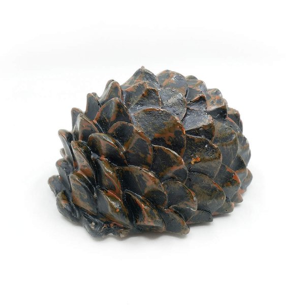 Pine Cone Cache Container with Bison and Logsheet